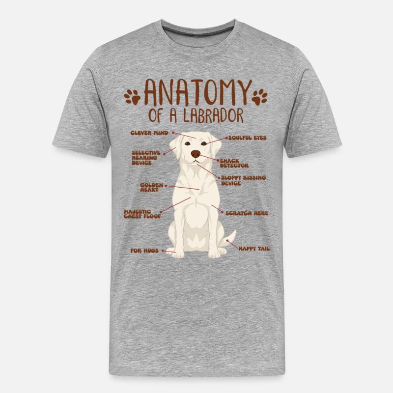 Anatomie eines white Labradors - Männer Premium Bio T-Shirt - Grau meliert