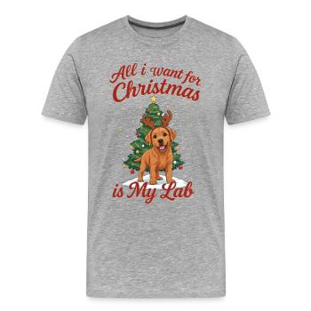 Tout ce que je veux pour Noël, c’est mon labo - T-shirt bio Premium Homme - gris chiné - Devant - Damien (186cm)