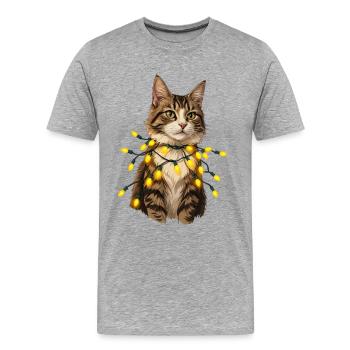 Lichterkatze mit Lampenkette - Männer Premium Bio T-Shirt - Grau meliert - Vorne - Damien (186cm)