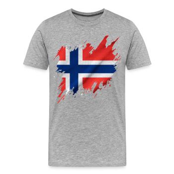 Norwegische Flagge, zerrissen Stil - Männer Premium Bio T-Shirt - Grau meliert - Vorne - Damien (186cm)