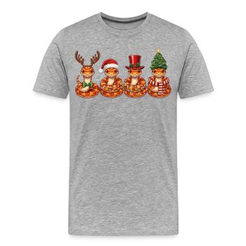 Lumières de Noël Serpent des Blés - T-shirt bio Premium Homme - gris chiné - Devant - Damien (186cm)