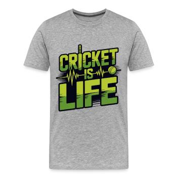 Lustiges Kricket Spruch Vintage Cricket Spiel - Männer Premium Bio T-Shirt - Grau meliert - Vorne - Damien (186cm)