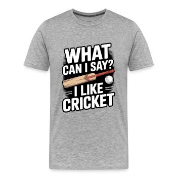 Lustiges Kricket Spruch Vintage Cricket Spiel - Männer Premium Bio T-Shirt - Grau meliert - Vorne - Damien (186cm)