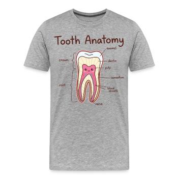 Dentiste assistant dentaire en anatomie dentaire - T-shirt bio Premium Homme - gris chiné - Devant - Damien (186cm)
