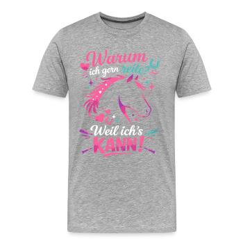 Reiterin Pferde Spruch  Reiten Reiterin Geschenk - Männer Premium Bio T-Shirt - Grau meliert - Vorne - Damien (186cm)