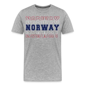 Norwegische Fußballfanflagge – Stolz Rot Weiß Blau - Männer Premium Bio T-Shirt - Grau meliert - Vorne - Damien (186cm)