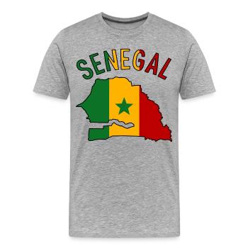 Senegal Flag Map Silhouette - Men's Premium Organic T-Shirt - heather grey - Front - Damien (186cm)
