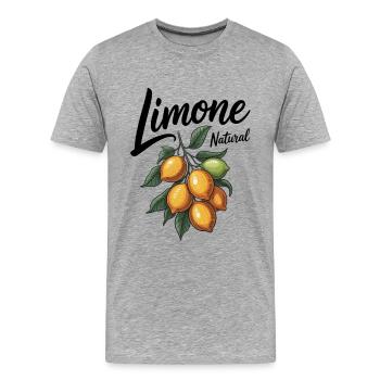 Citron vert - T-shirt bio Premium Homme - gris chiné - Devant - Damien (186cm)