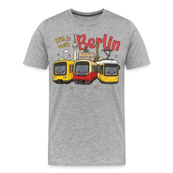 Ditt is mein Berlin - Männer Premium Bio T-Shirt - Grau meliert - Vorne - Damien (186cm)
