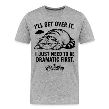 Mème du chat drôle | Probabilités sarcastiques | Cadeau Amoureux des chats - T-shirt bio Premium Homme - gris chiné - Devant - Damien (186cm)
