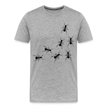 Ameisen - Männer Premium Bio T-Shirt - Grau meliert - Vorne - Damien (186cm)
