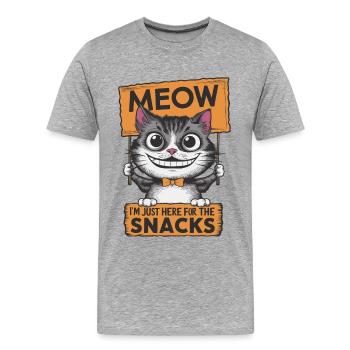 Miau Lustige Katze Sprüche Katzen Spruch - Männer Premium Bio T-Shirt - Grau meliert - Vorne - Damien (186cm)