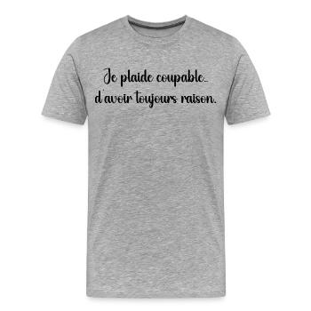 Je plaide coupable, j’ai toujours raison - T-shirt bio Premium Homme - gris chiné - Devant - Damien (186cm)