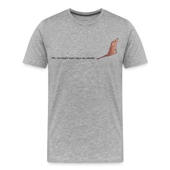Katzen sind alle gleich - Männer Premium Bio T-Shirt - Grau meliert - Vorne - Damien (186cm)