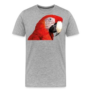 Ara rouge - T-shirt bio Premium Homme - gris chiné - Devant - Damien (186cm)