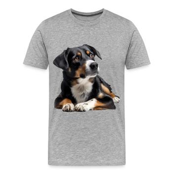 Danish Swedish Farmdog - Männer Premium Bio T-Shirt - Grau meliert - Vorne - Damien (186cm)