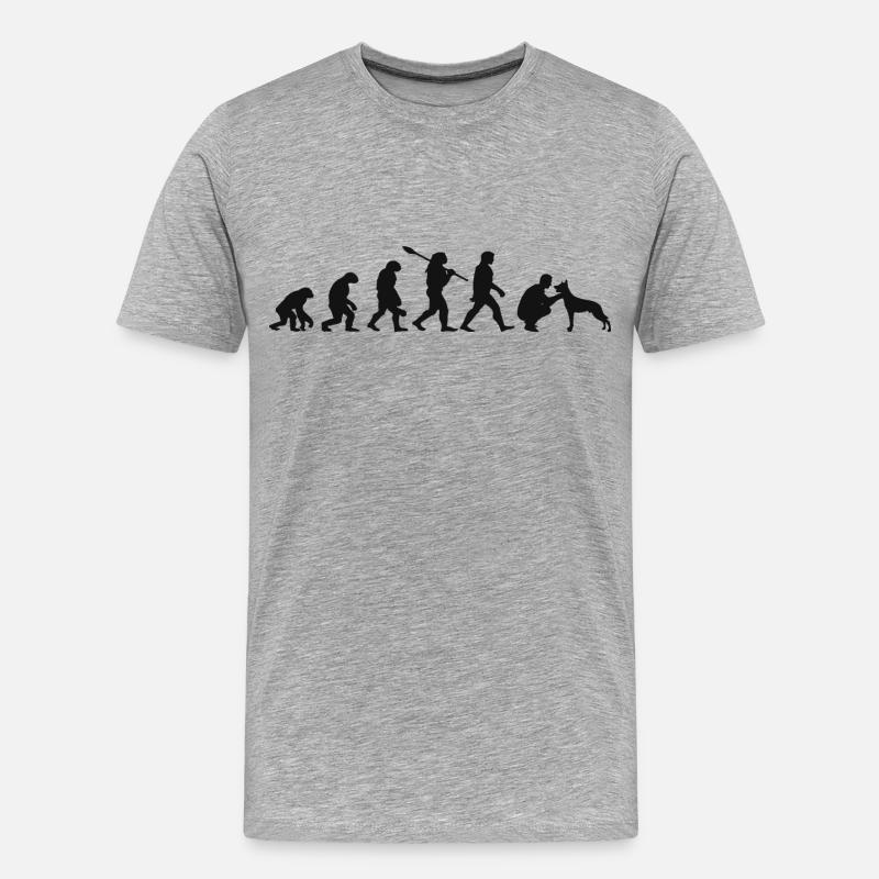 Evolution Lustiger Belgischer Schäferhund Malinois - Männer Premium Bio T-Shirt - Grau meliert