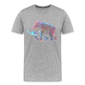 Mammut - Männer Premium Bio T-Shirt - Grau meliert - Vorne - Damien (186cm)