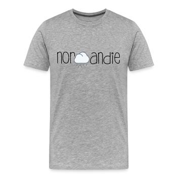 Wolke Normandie - Männer Premium Bio T-Shirt - Grau meliert - Vorne - Damien (186cm)
