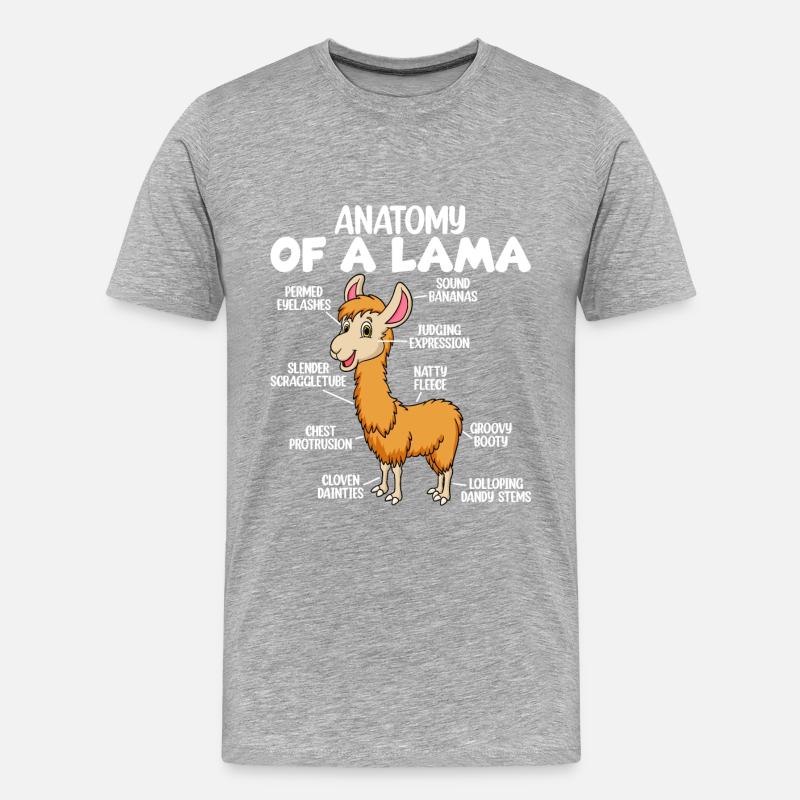 Anatomie eines Lamas - Männer Premium Bio T-Shirt - Grau meliert
