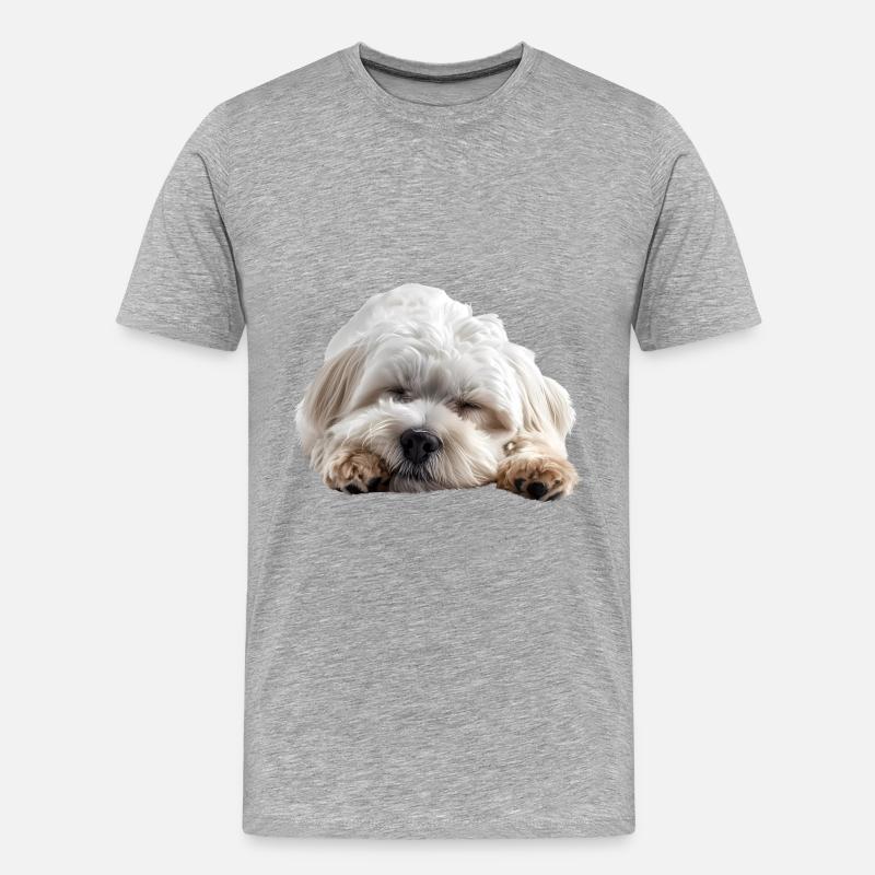 Coton de tulear - Männer Premium Bio T-Shirt - Grau meliert