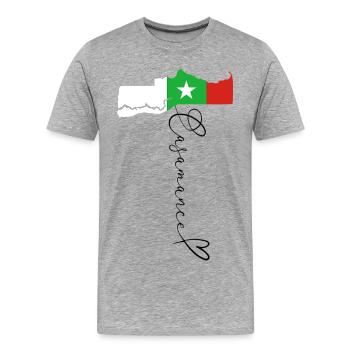 Casamance Pride Senegalesische Region Flagge - Männer Premium Bio T-Shirt - Grau meliert - Vorne - Damien (186cm)