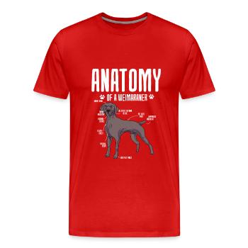 Weimaraner - Männer Premium Bio T-Shirt - Rot - Vorne - Damien (186cm)