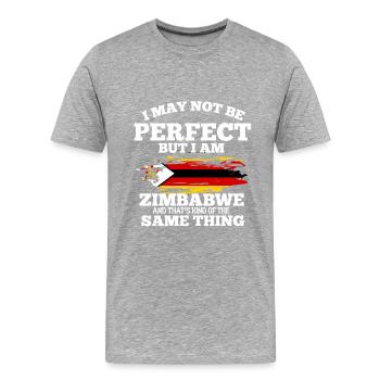 Zimbabwe - T-shirt bio Premium Homme - gris chiné - Devant - Damien (186cm)