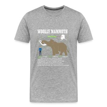 Mammut - Männer Premium Bio T-Shirt - Grau meliert - Vorne - Damien (186cm)