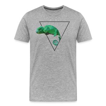 Chamäleon Chamäleons T-Shirt Geschenk Reptilien - Männer Premium Bio T-Shirt - Grau meliert - Vorne - Damien (186cm)