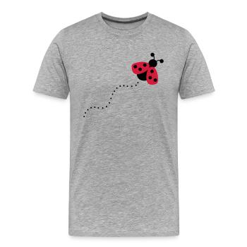 Marienkäfer - Männer Premium Bio T-Shirt - Grau meliert - Vorne - Damien (186cm)
