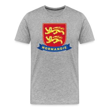 Flagge der Normandie frankreich Reise Tourist Regi - Männer Premium Bio T-Shirt - Grau meliert - Vorne - Damien (186cm)