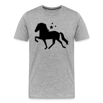 Tölter mit Sternchen - Männer Premium Bio T-Shirt - Grau meliert - Vorne - Damien (186cm)