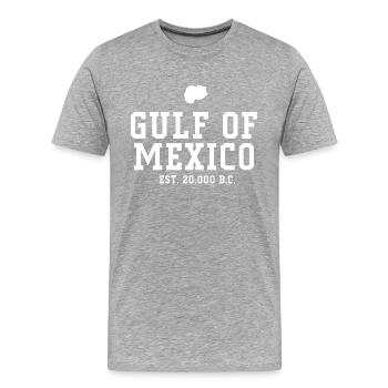 GULF OF MEXICO - Männer Premium Bio T-Shirt - Grau meliert - Vorne - Damien (186cm)