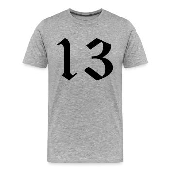 13 - Männer Premium Bio T-Shirt - Grau meliert - Vorne - Damien (186cm)