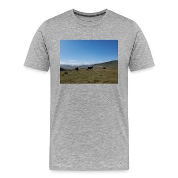 Ânes, Montagnes, Prairies - T-shirt bio Premium Homme - gris chiné - Devant - Damien (186cm)