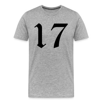 17 - Männer Premium Bio T-Shirt - Grau meliert - Vorne - Damien (186cm)