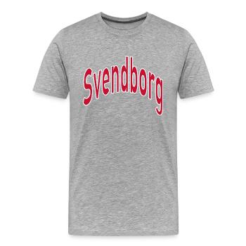 Canton de Svendborg - T-shirt bio Premium Homme - gris chiné - Devant - Damien (186cm)