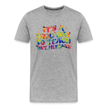 Lehramt Grundschule Lehramt Lehramt - Männer Premium Bio T-Shirt - Grau meliert - Vorne - Damien (186cm)