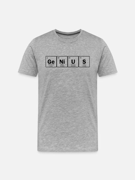 Genius - Männer Premium Bio T-Shirt - Grau meliert