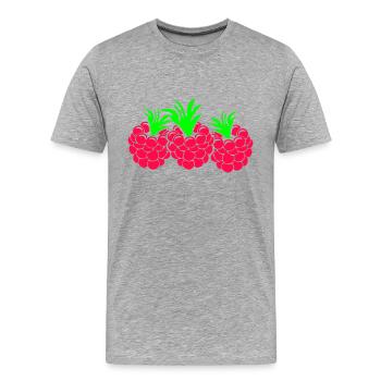 Himbeeren - Männer Premium Bio T-Shirt - Grau meliert - Vorne - Damien (186cm)