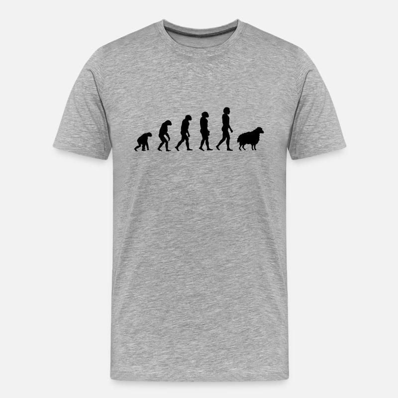 Darwin-Schafe - Männer Premium Bio T-Shirt - Grau meliert
