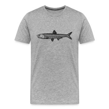 fish425 - Männer Premium Bio T-Shirt - Grau meliert - Vorne - Damien (186cm)