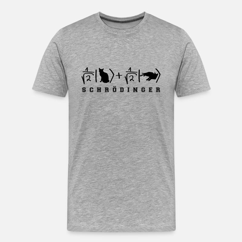 Quantenphysik Schrödinger Katze - Männer Premium Bio T-Shirt - Grau meliert