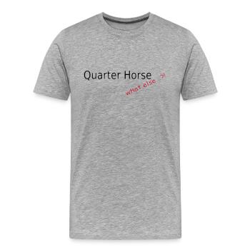 Quarter Horse, what else - Men's Premium Organic T-Shirt - heather grey - Front - Damien (186cm)