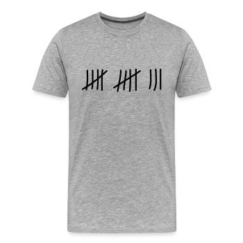tage_zaehlen_13 - Männer Premium Bio T-Shirt - Grau meliert - Vorne - Damien (186cm)