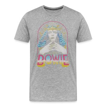David Bowie Egyptian - Männer Premium Bio T-Shirt - Grau meliert - Vorne - Damien (186cm)