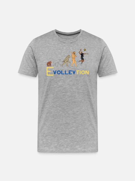 Volleyball Evolution - Männer Premium Bio T-Shirt - Grau meliert