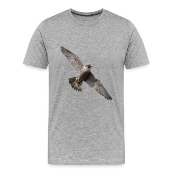 Faucon pèlerin - T-shirt bio Premium Homme - gris chiné - Devant - Damien (186cm)