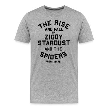 David Bowie Ziggy Stardust Black Print - Men's Premium Organic T-Shirt - heather grey - Front - Damien (186cm)